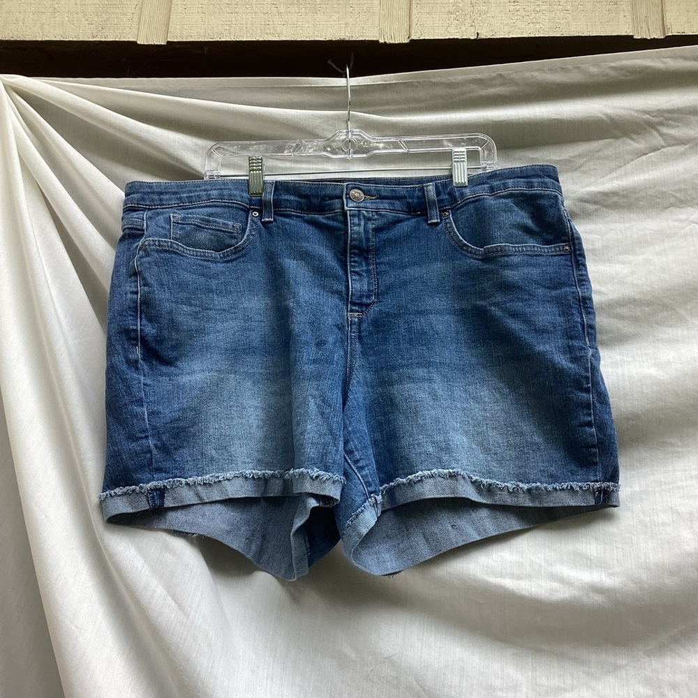 Vintage America Boho Short Blue Jean Shorts, size 20W
